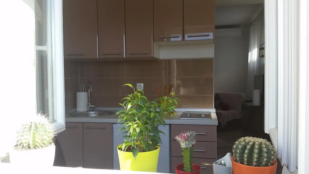 Apartment Summer Night Dream Zadar Chorvatsko